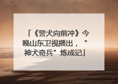 《警犬向前冲》今晚山东卫视播出，“神犬奇兵”炼成记