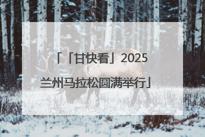 「甘快看」2025兰州马拉松圆满举行