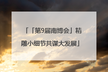 「第9届南博会」精雕小细节共谋大发展