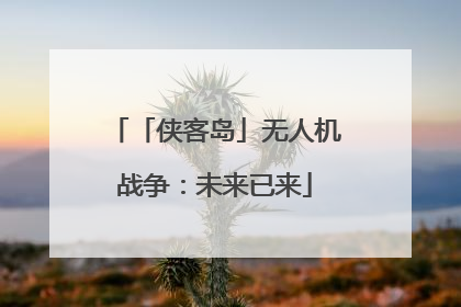 「侠客岛」无人机战争：未来已来