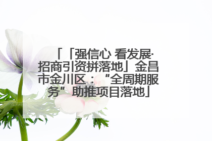 「强信心 看发展·招商引资拼落地」金昌市金川区：“全周期服务”助推项目落地