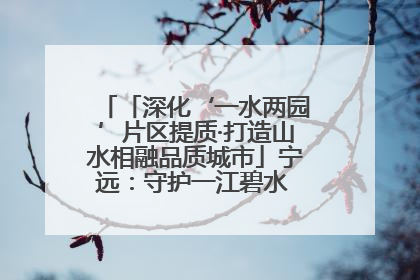 「深化‘一水两园’片区提质·打造山水相融品质城市」宁远：守护一江碧水 共享幸福河湖