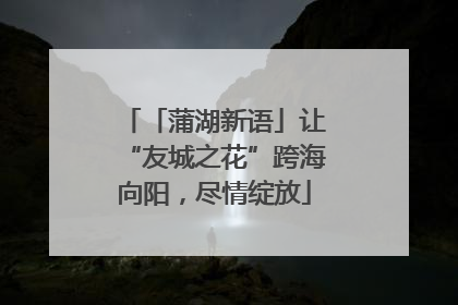 「蒲湖新语」让“友城之花”跨海向阳，尽情绽放