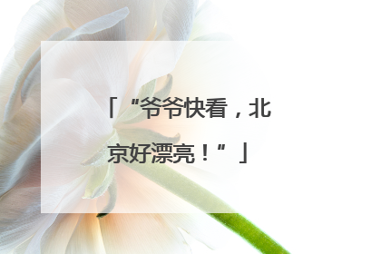 “爷爷快看，北京好漂亮！”