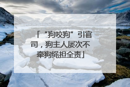 “狗咬狗”引官司，狗主人屡次不牵狗绳担全责