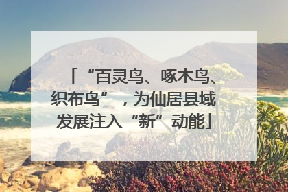 “百灵鸟、啄木鸟、织布鸟”，为仙居县域发展注入“新”动能