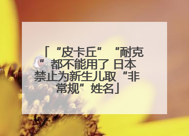 “皮卡丘”“耐克”都不能用了 日本禁止为新生儿取“非常规”姓名