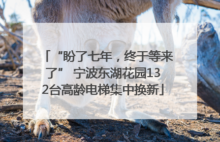 “盼了七年，终于等来了” 宁波东湖花园132台高龄电梯集中换新