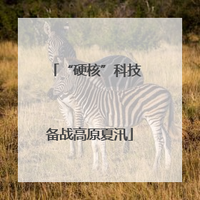 “硬核”科技备战高原夏汛