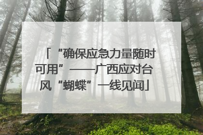“确保应急力量随时可用”——广西应对台风“蝴蝶”一线见闻