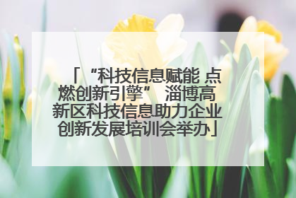 “科技信息赋能 点燃创新引擎” 淄博高新区科技信息助力企业创新发展培训会举办