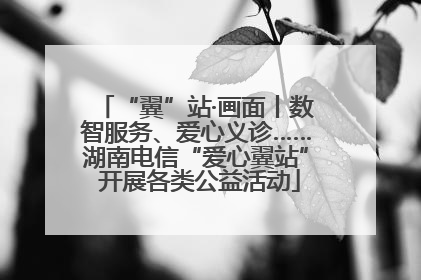 “翼”站·画面丨数智服务、爱心义诊……湖南电信“爱心翼站” 开展各类公益活动