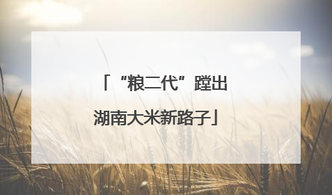 “粮二代”蹚出湖南大米新路子