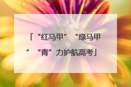 “红马甲”“绿马甲”“青”力护航高考