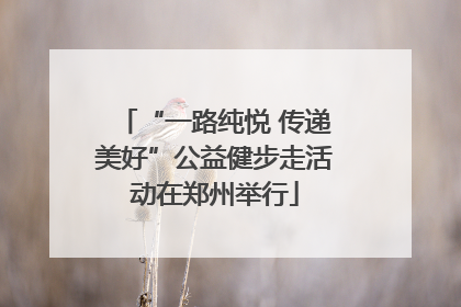 “一路纯悦 传递美好”公益健步走活动在郑州举行