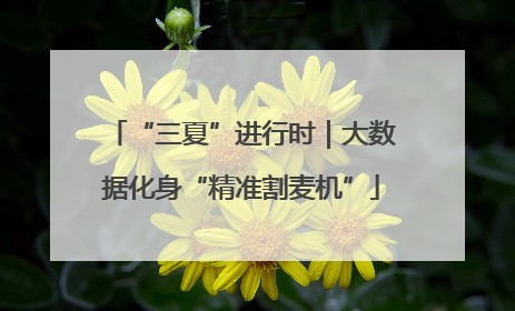 “三夏”进行时｜大数据化身“精准割麦机”