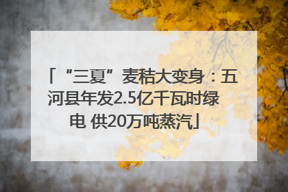 “三夏”麦秸大变身：五河县年发2.5亿千瓦时绿电 供20万吨蒸汽