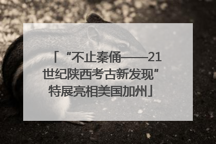 “不止秦俑——21世纪陕西考古新发现”特展亮相美国加州