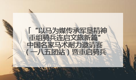 “以马为媒传承军垦精神 重组骑兵连启文旅新篇” 中国名家马术耐力邀请赛（一八五团站）暨重启骑兵连活动正式启动