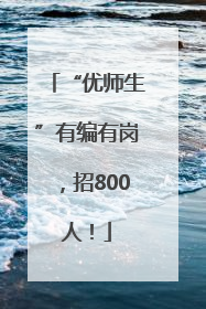 “优师生”有编有岗，招800人！