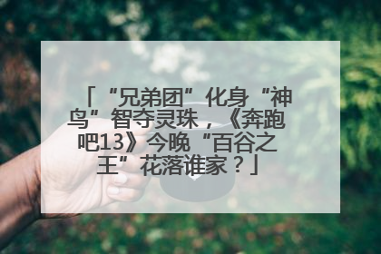 “兄弟团”化身“神鸟”智夺灵珠，《奔跑吧13》今晚“百谷之王”花落谁家？