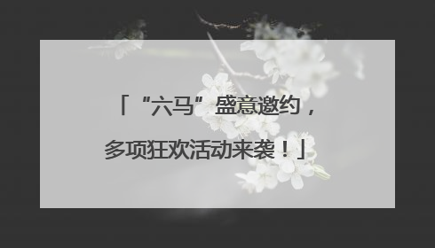 “六马”盛意邀约，多项狂欢活动来袭！