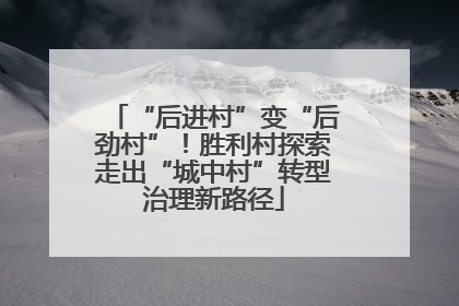 “后进村”变“后劲村”！胜利村探索走出“城中村”转型治理新路径