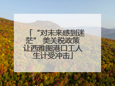 “对未来感到迷茫” 美关税政策让西雅图港口工人生计受冲击