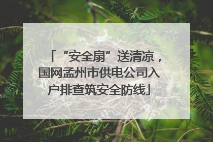 “安全扇”送清凉，国网孟州市供电公司入户排查筑安全防线