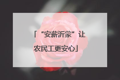 “安薪沂蒙”让农民工更安心
