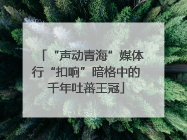 “声动青海”媒体行“扣响”暗格中的千年吐蕃王冠