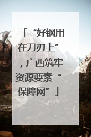 “好钢用在刀刃上”，广西筑牢资源要素“保障网”