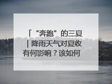 “奔跑”的三夏｜降雨天气对夏收有何影响？该如何防范？一文了解