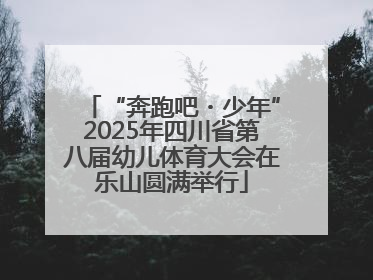 “奔跑吧・少年”2025年四川省第八届幼儿体育大会在乐山圆满举行
