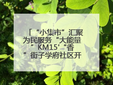 “小集市”汇聚为民服务“大能量”KM15′“香”街子学府社区开集迎端午