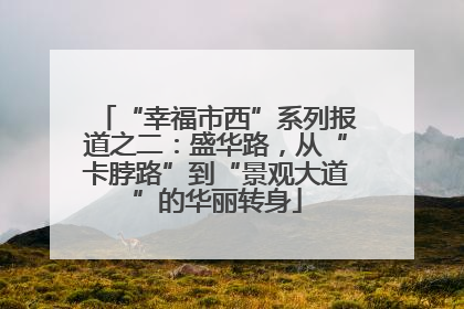 “幸福市西”系列报道之二：盛华路，从“卡脖路”到“景观大道”的华丽转身