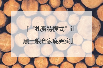 “扎赉特模式”让黑土粮仓家底更实