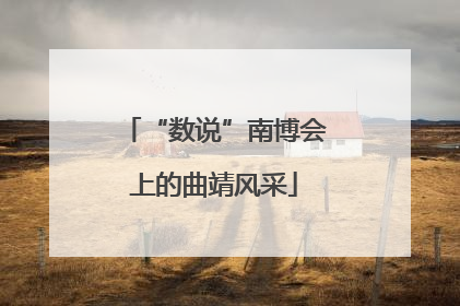 “数说”南博会上的曲靖风采