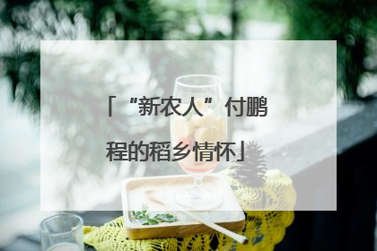 “新农人”付鹏程的稻乡情怀