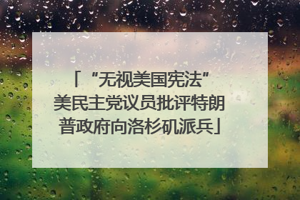 “无视美国宪法” 美民主党议员批评特朗普政府向洛杉矶派兵