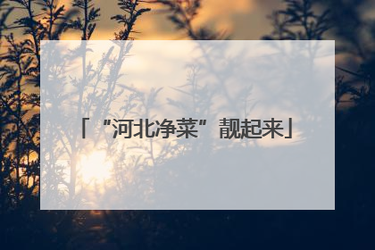 “河北净菜”靓起来