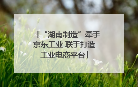 “湖南制造”牵手京东工业 联手打造工业电商平台