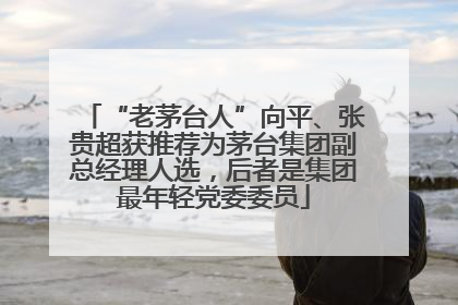 “老茅台人”向平、张贵超获推荐为茅台集团副总经理人选，后者是集团最年轻党委委员