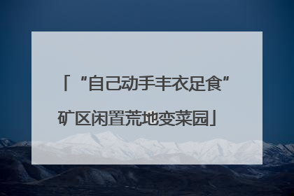 “自己动手丰衣足食”矿区闲置荒地变菜园