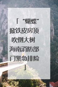 “蝴蝶”掀铁皮房顶吹倒大树 海南消防部门紧急排险
