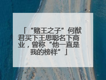 “赌王之子”何猷君买下王思聪名下商业，曾称“他一直是我的榜样”