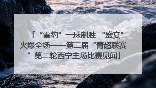 “雪豹”一球制胜 “盛宴”火爆全场——第二届“青超联赛”第二轮西宁主场比赛见闻