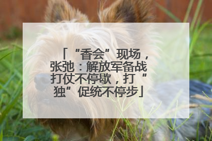 “香会”现场，张弛：解放军备战打仗不停歇，打“独”促统不停步