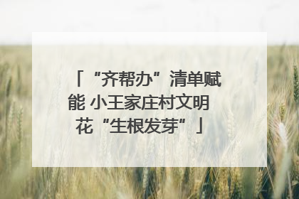 “齐帮办”清单赋能 小王家庄村文明花“生根发芽”