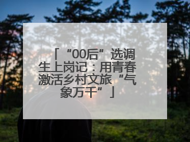 “00后”选调生上岗记：用青春激活乡村文旅“气象万千”